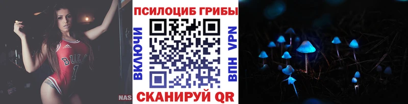 цена   Тутаев  Псилоцибиновые грибы прущие грибы 