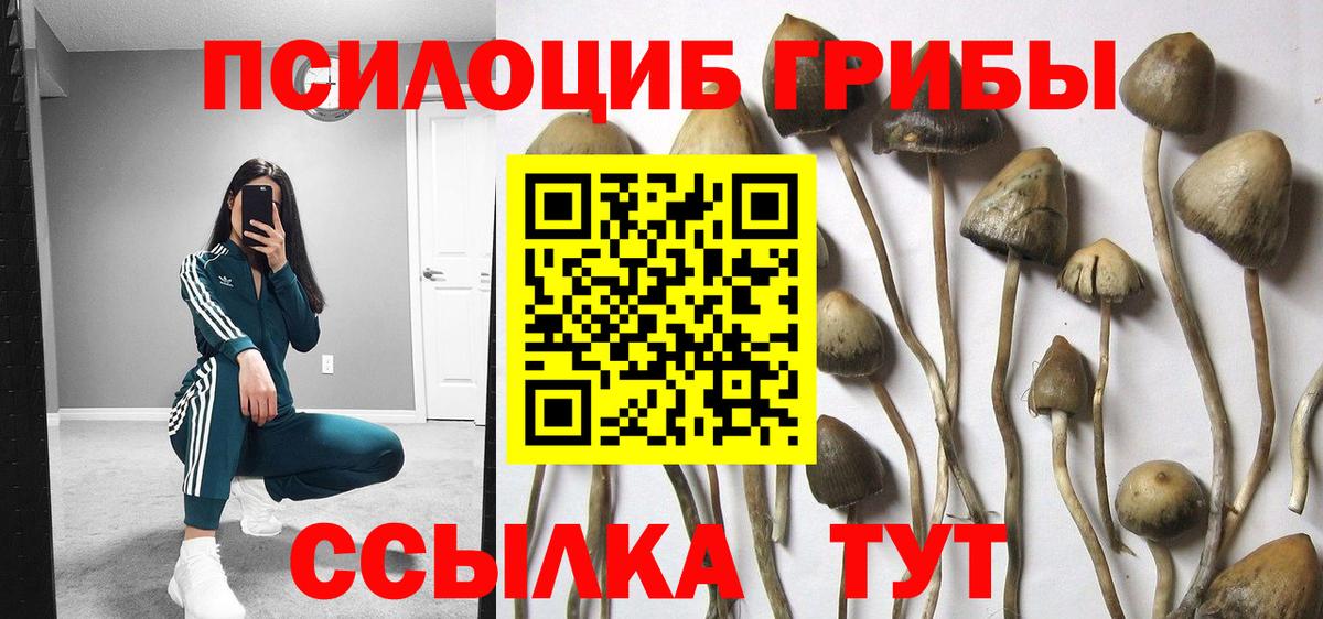 Псилоцибиновые грибы GOLDEN TEACHER Тутаев