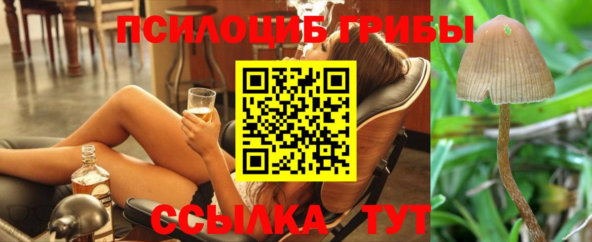 Галлюциногенные грибы MAGIC MUSHROOMS  Тутаев  Псилоцибиновые грибы Magic Shrooms 