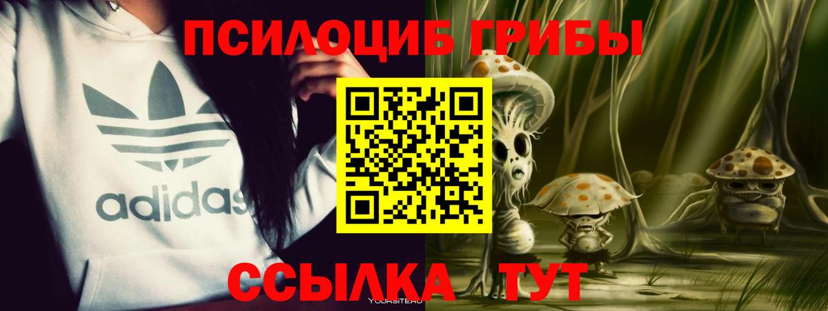 Тутаев  Галлюциногенные грибы Cubensis  Вход с VPN 
